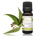 HUILE ESSENTIELLE D'EUCALYPTUS