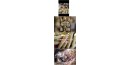 KIT TISANE MINCEUR
